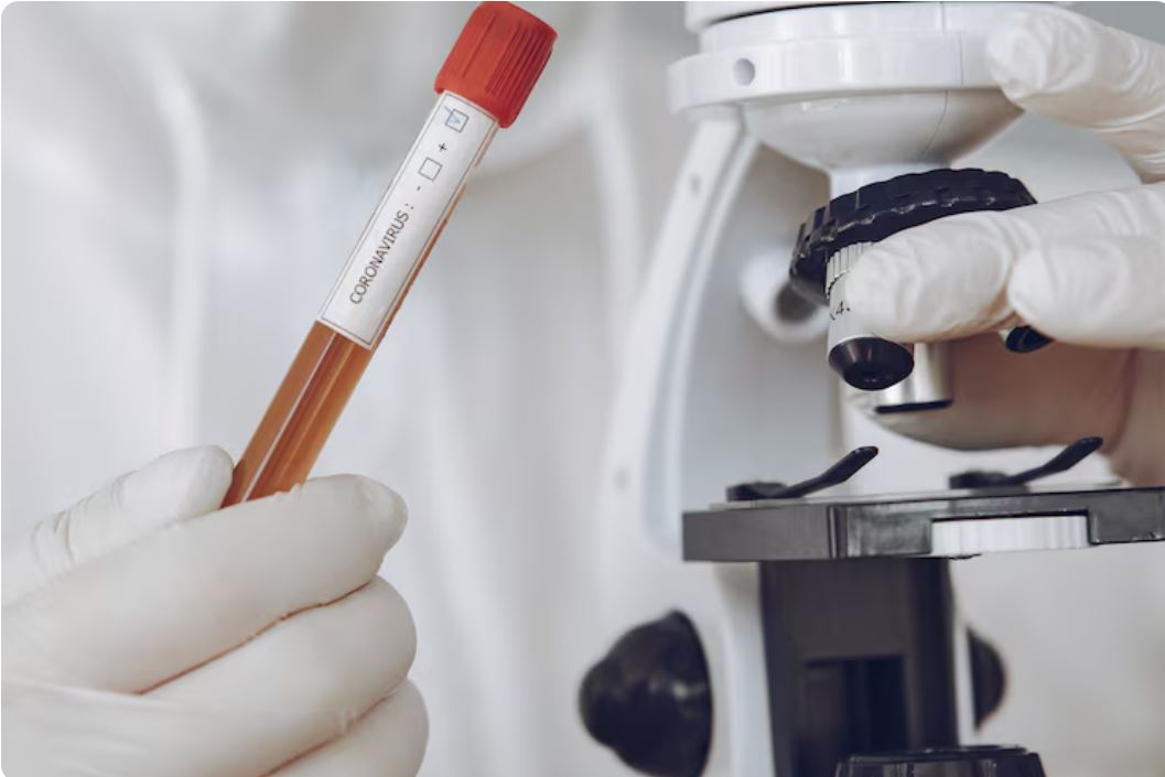 You are currently viewing ALP 검사 정상수치, 높을 때·낮을 때 원인 완전 정리