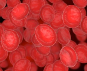 Read more about the article Phenobarbital 혈중 농도 검사 해석 및 주의사항 가이드