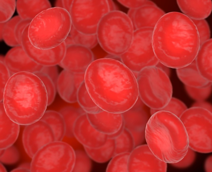 You are currently viewing Phenobarbital 혈중 농도 검사 해석 및 주의사항 가이드