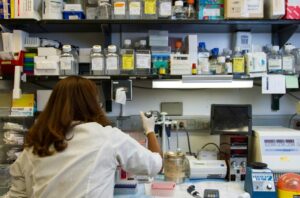 Read more about the article C3 검사 정상 수치, 높을 때·낮을 때 원인 및 자가면역 질환 진단