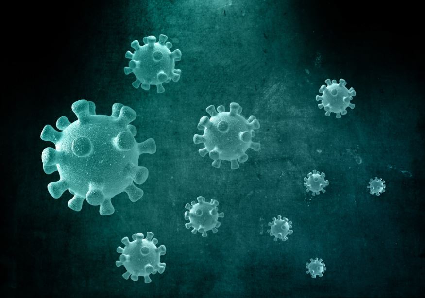 You are currently viewing CMV Real-time PCR 검사 정량 수치 해석과 선천성 감염 및 면역 저하자 관리